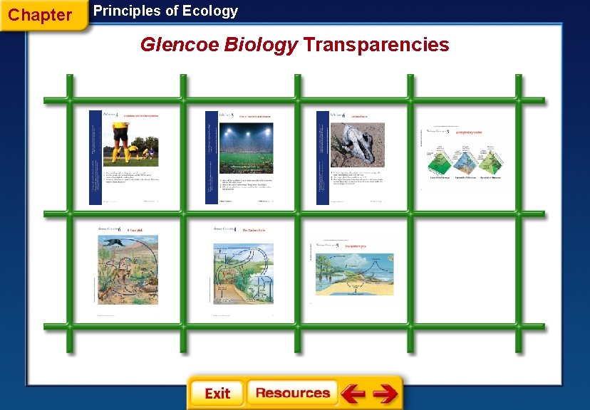 Chapter Principles of Ecology Glencoe Biology Transparencies 