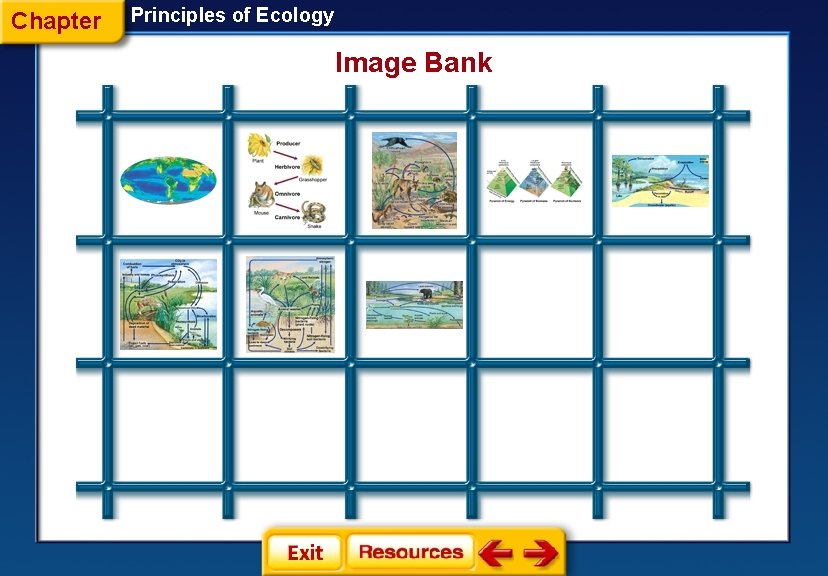 Chapter Principles of Ecology Image Bank 