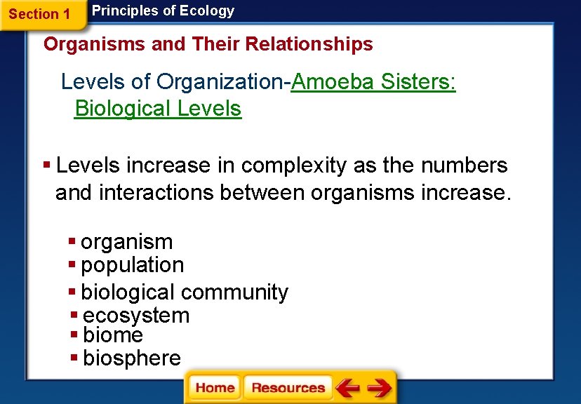 Section 1 Principles of Ecology Organisms and Their Relationships Levels of Organization-Amoeba Sisters: Biological