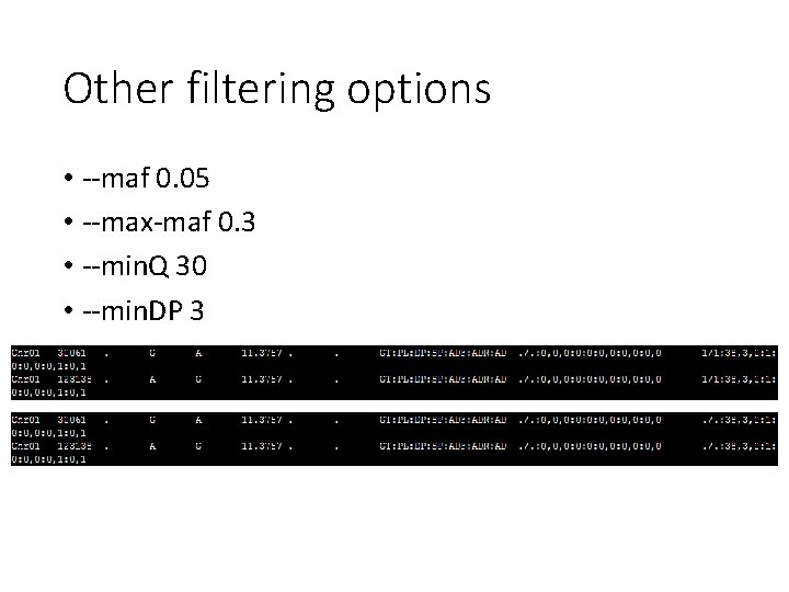 Other filtering options • --maf 0. 05 • --max-maf 0. 3 • --min. Q