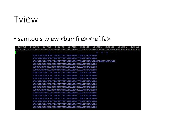 Tview • samtools tview <bamfile> <ref. fa> 