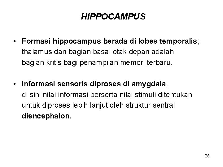 HIPPOCAMPUS • Formasi hippocampus berada di lobes temporalis; thalamus dan bagian basal otak depan