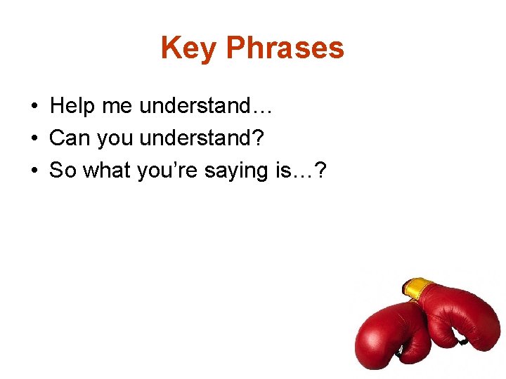 Key Phrases • Help me understand… • Can you understand? • So what you’re