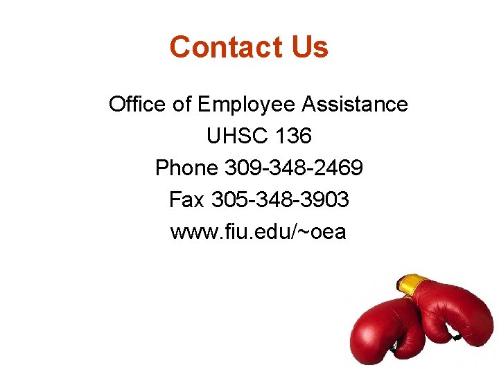 Contact Us Office of Employee Assistance UHSC 136 Phone 309 -348 -2469 Fax 305