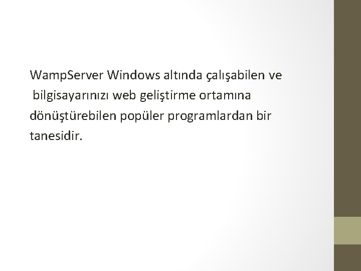 Wamp. Server Windows altında çalışabilen ve bilgisayarınızı web geliştirme ortamına dönüştürebilen popüler programlardan bir