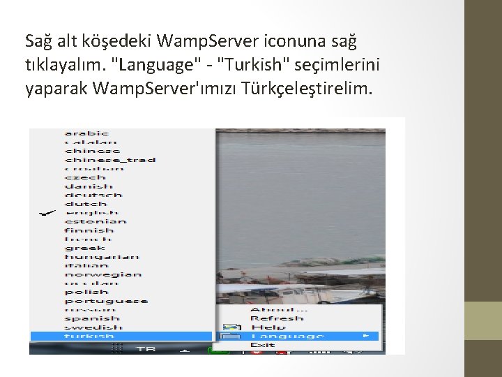 Sağ alt köşedeki Wamp. Server iconuna sağ tıklayalım. "Language" - "Turkish" seçimlerini yaparak Wamp.