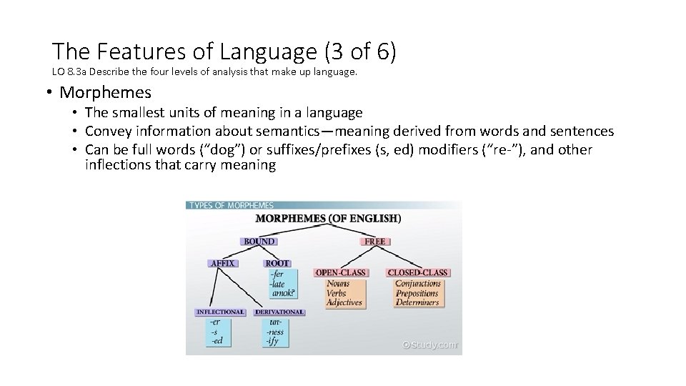 The Features of Language (3 of 6) LO 8. 3 a Describe the four
