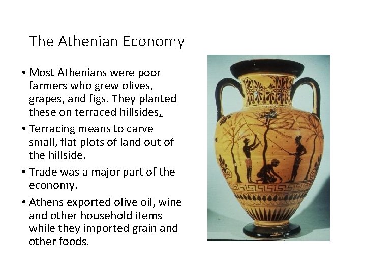 The Athenian Economy • Most Athenians were poor farmers who grew olives, grapes, and