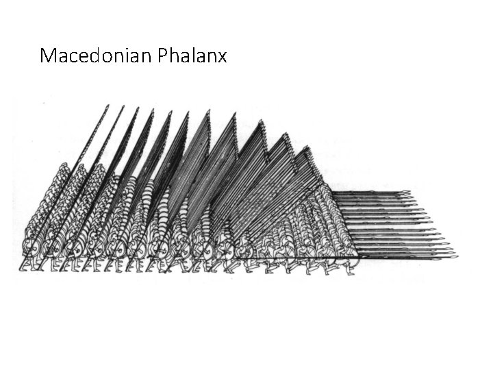 Macedonian Phalanx 