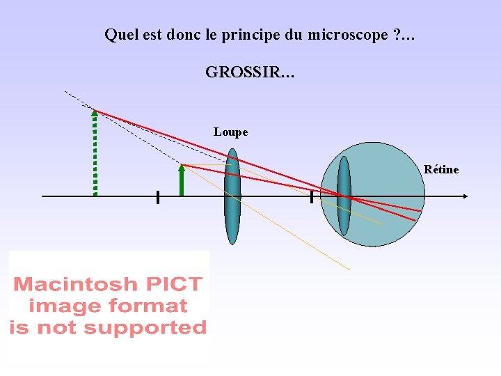 Quel est donc le principe du microscope ? … GROSSIR… Loupe Rétine 