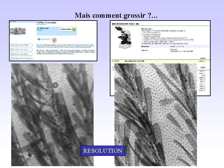 Mais comment grossir ? … RESOLUTION 