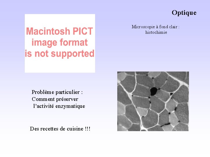 Optique Microscopie à fond clair : histochimie Problème particulier : Comment préserver l’activité enzymatique