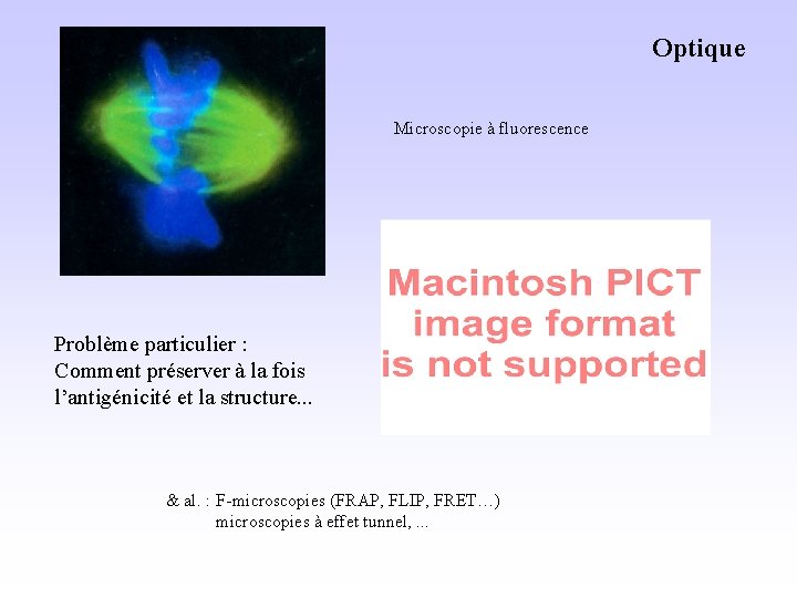 Optique Microscopie à fluorescence Problème particulier : Comment préserver à la fois l’antigénicité et