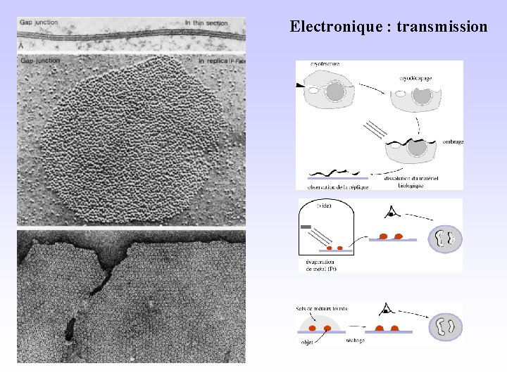 Electronique : transmission 