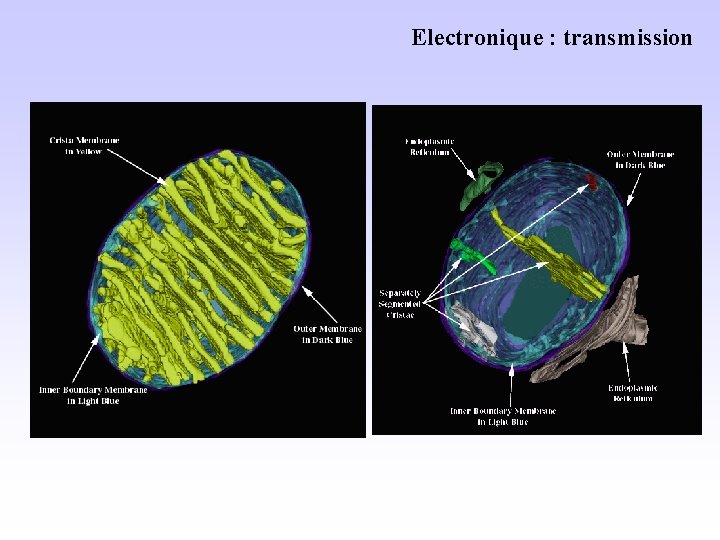 Electronique : transmission 