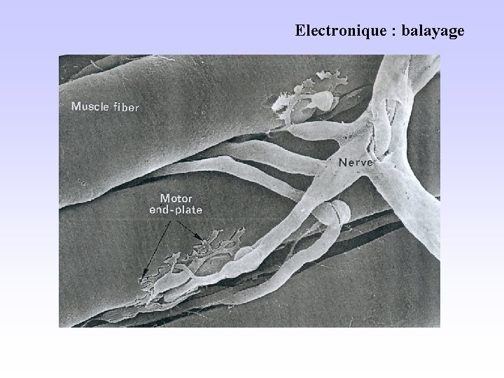 Electronique : balayage 