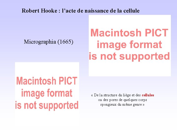 Robert Hooke : l’acte de naissance de la cellule Micrographia (1665) « De la