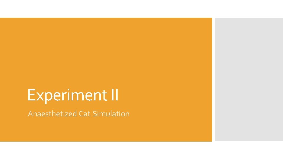Experiment II Anaesthetized Cat Simulation 