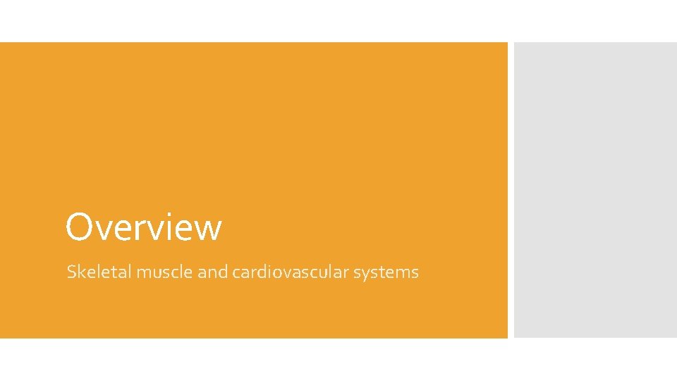 Overview Skeletal muscle and cardiovascular systems 