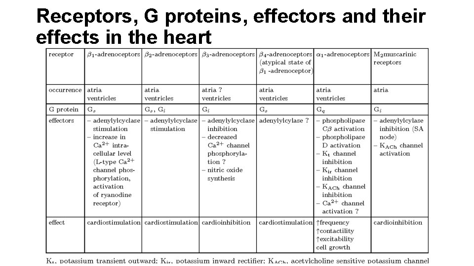 Receptors, G proteins, effectors and their effects in the heart 
