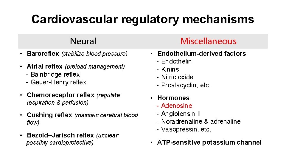 Cardiovascular regulatory mechanisms Neural • Baroreflex (stabilize blood pressure) • Atrial reflex (preload management)