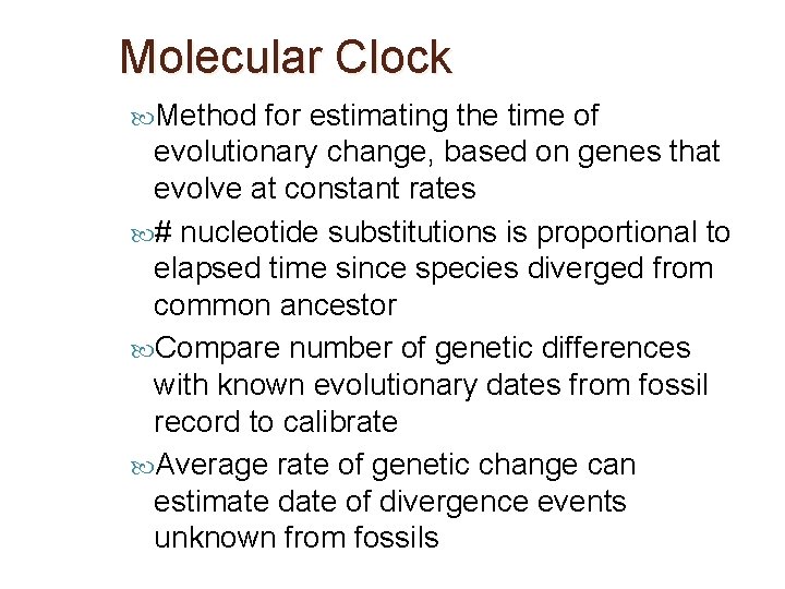 Molecular Clock Method for estimating the time of evolutionary change, based on genes that