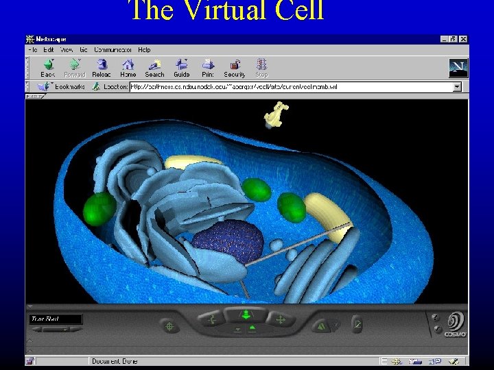 The Virtual Cell 