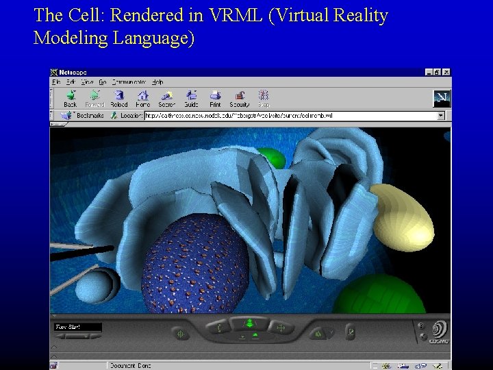 The Cell: Rendered in VRML (Virtual Reality Modeling Language) 