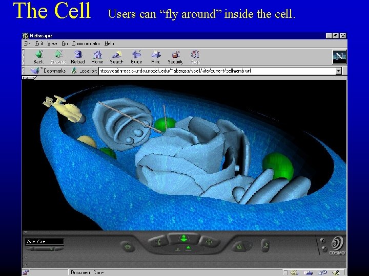 The Cell Users can “fly around” inside the cell. 