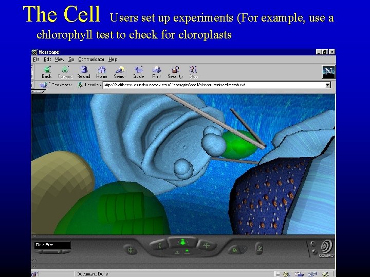 The Cell Users set up experiments (For example, use a chlorophyll test to check