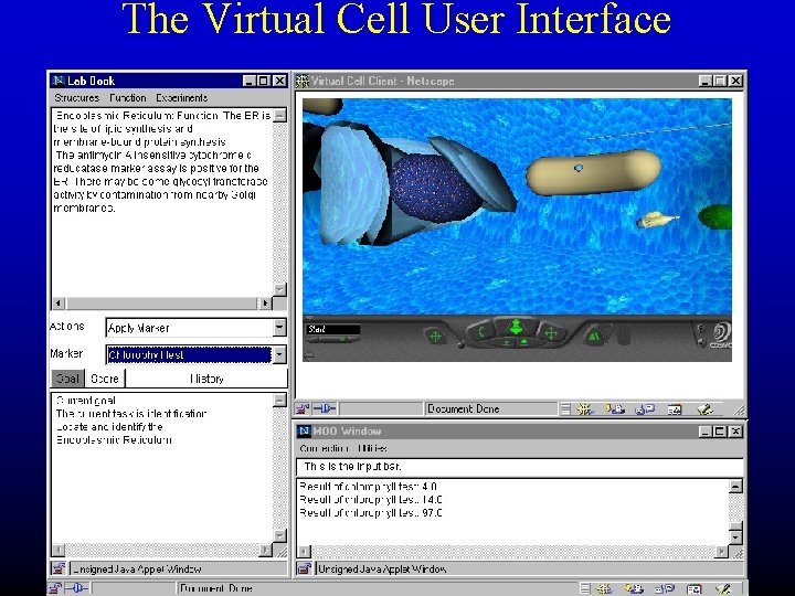 The Virtual Cell User Interface 