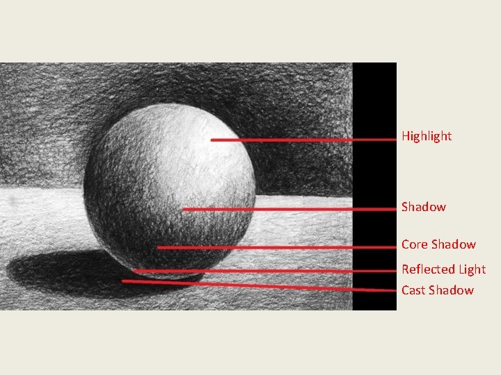 Highlight Shadow Core Shadow Reflected Light Cast Shadow 