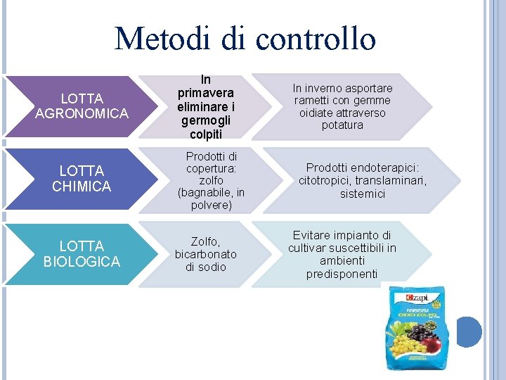 Metodi di controllo LOTTA AGRONOMICA LOTTA CHIMICA LOTTA BIOLOGICA In primavera eliminare i germogli