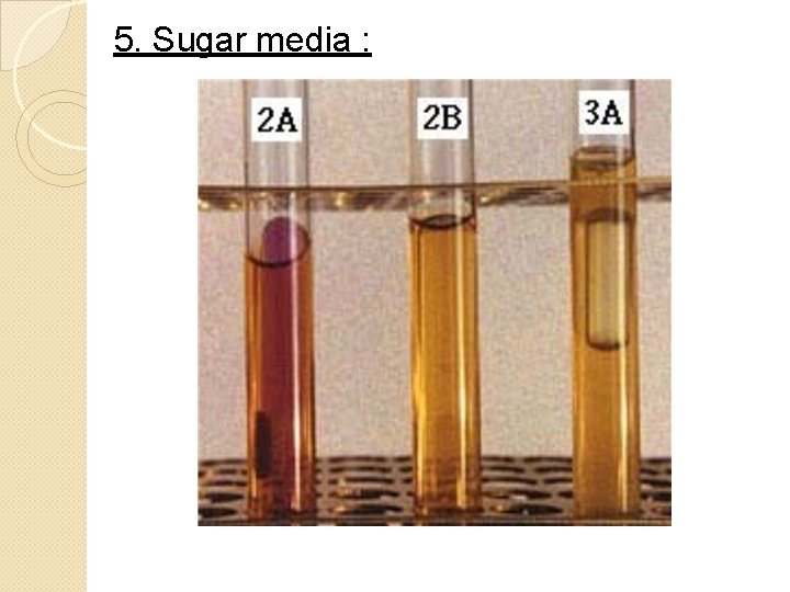 5. Sugar media : 