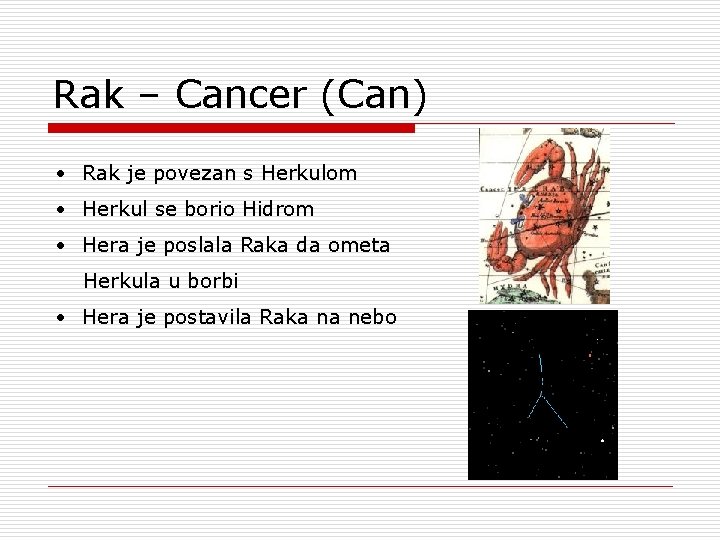 Rak – Cancer (Can) • Rak je povezan s Herkulom • Herkul se borio