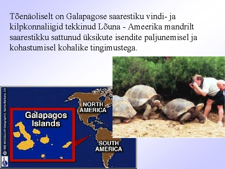 Tõenäoliselt on Galapagose saarestiku vindi- ja kilpkonnaliigid tekkinud Lõuna - Ameerika mandrilt saarestikku sattunud