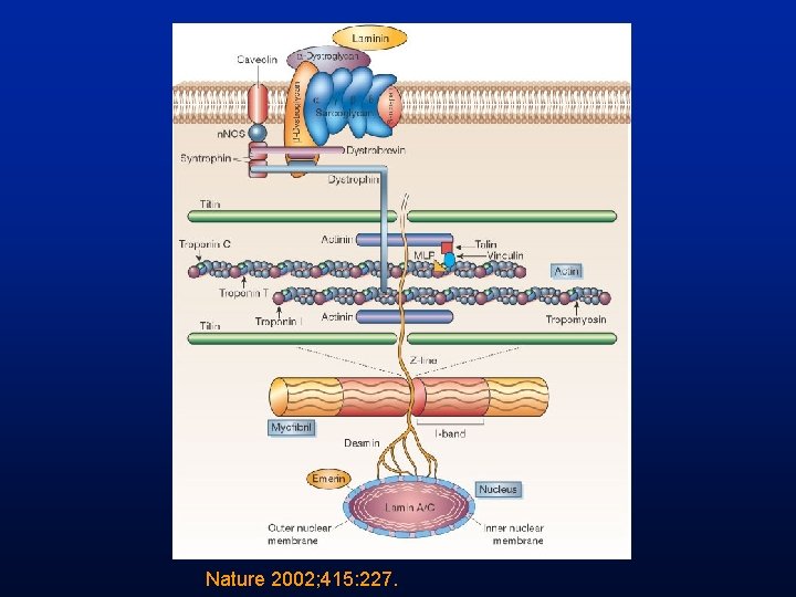 Nature 2002; 415: 227. 