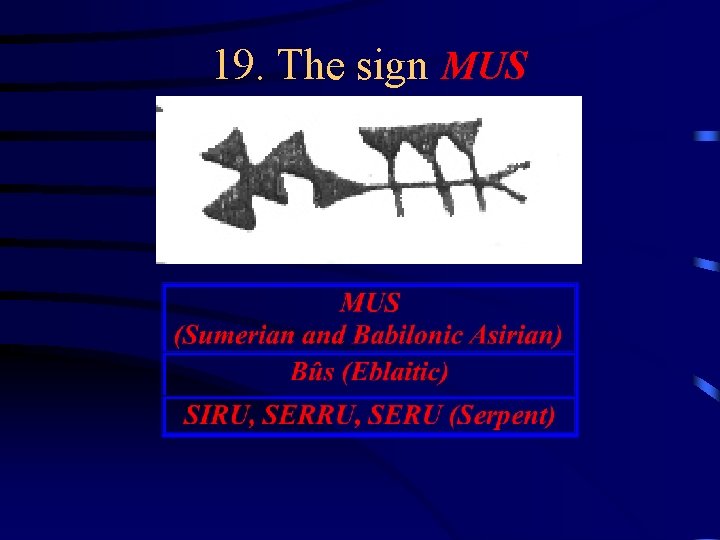 19. The sign MUS 19. The sign MUS