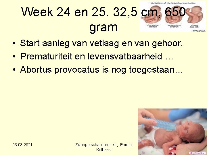 Week 24 en 25. 32, 5 cm, 650 gram • Start aanleg van vetlaag