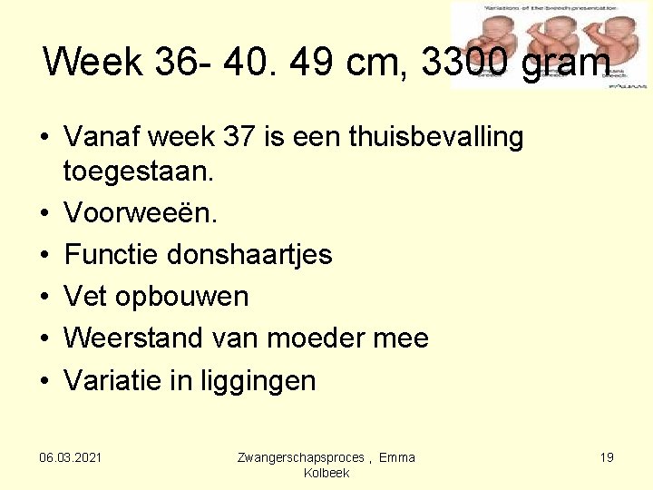 Week 36 - 40. 49 cm, 3300 gram • Vanaf week 37 is een