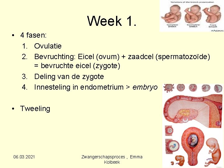 Week 1. • 4 fasen: 1. Ovulatie 2. Bevruchting: Eicel (ovum) + zaadcel (spermatozoïde)