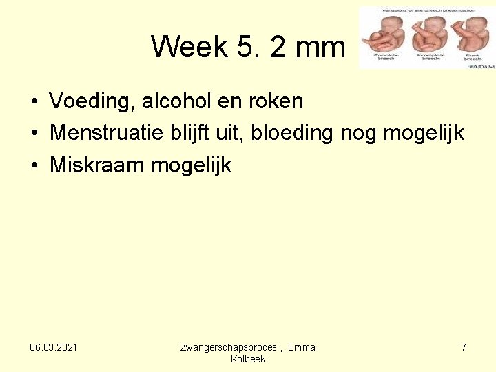 Week 5. 2 mm • Voeding, alcohol en roken • Menstruatie blijft uit, bloeding