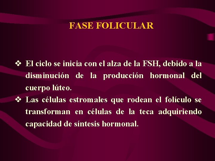 FASE FOLICULAR v El ciclo se inicia con el alza de la FSH, debido
