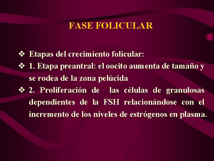 FASE FOLICULAR v Etapas del crecimiento folicular: v 1. Etapa preantral: el oocito aumenta