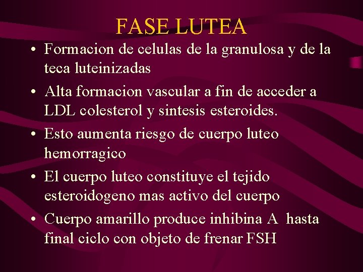 FASE LUTEA • Formacion de celulas de la granulosa y de la teca luteinizadas