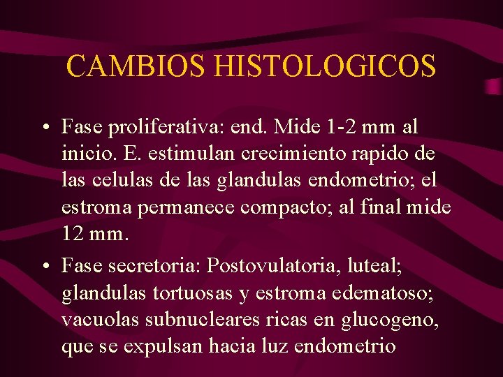 CAMBIOS HISTOLOGICOS • Fase proliferativa: end. Mide 1 -2 mm al inicio. E. estimulan