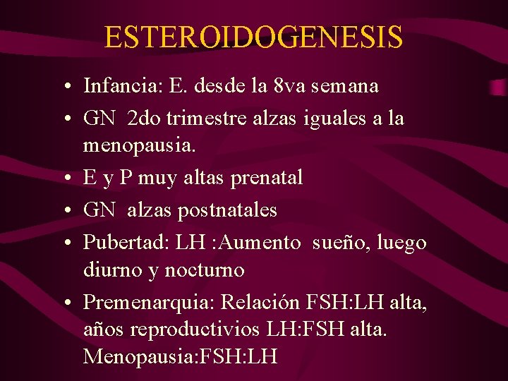 ESTEROIDOGENESIS • Infancia: E. desde la 8 va semana • GN 2 do trimestre