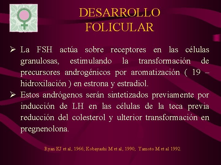 DESARROLLO FOLICULAR Ø La FSH actúa sobre receptores en las células granulosas, estimulando la