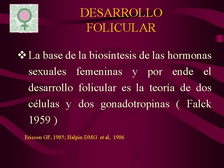DESARROLLO FOLICULAR v La base de la biosíntesis de las hormonas sexuales femeninas y