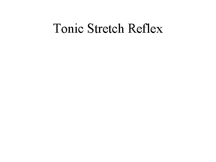 Tonic Stretch Reflex Tonic Stretch Reflex
